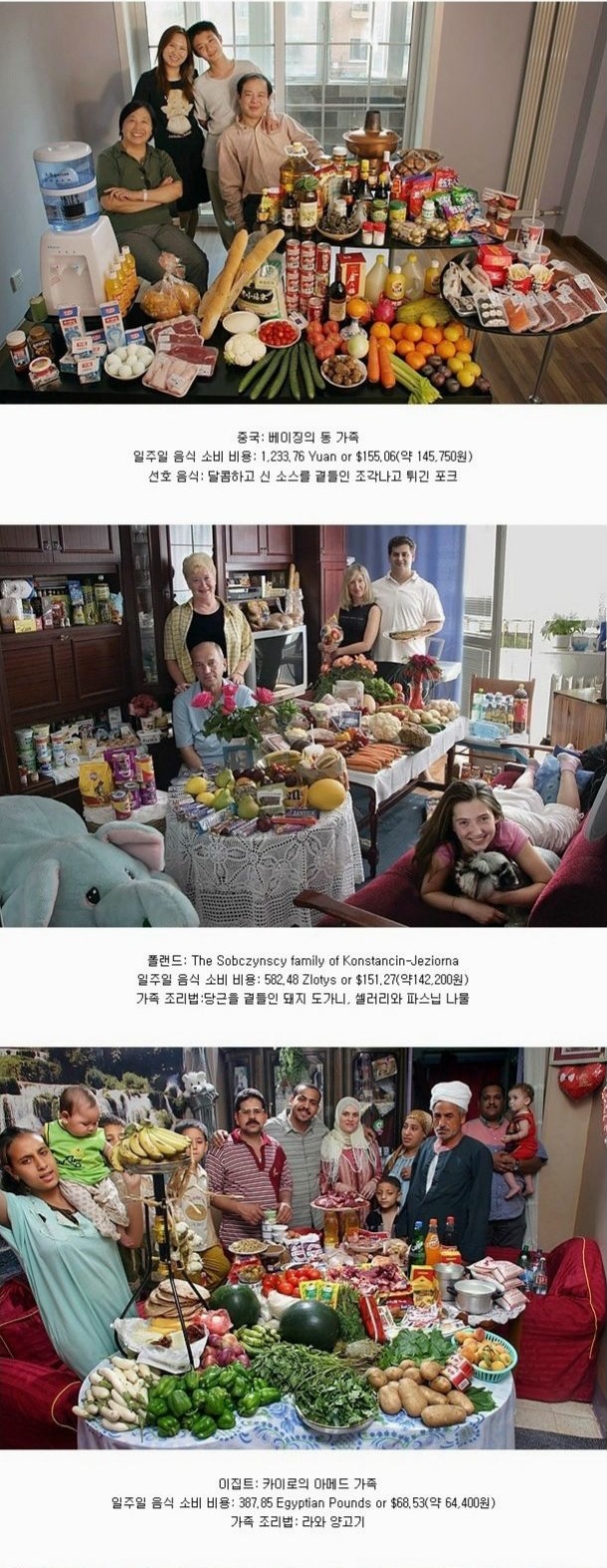 각 나라의 일주일 식량과 선호도.jpg | 인스티즈