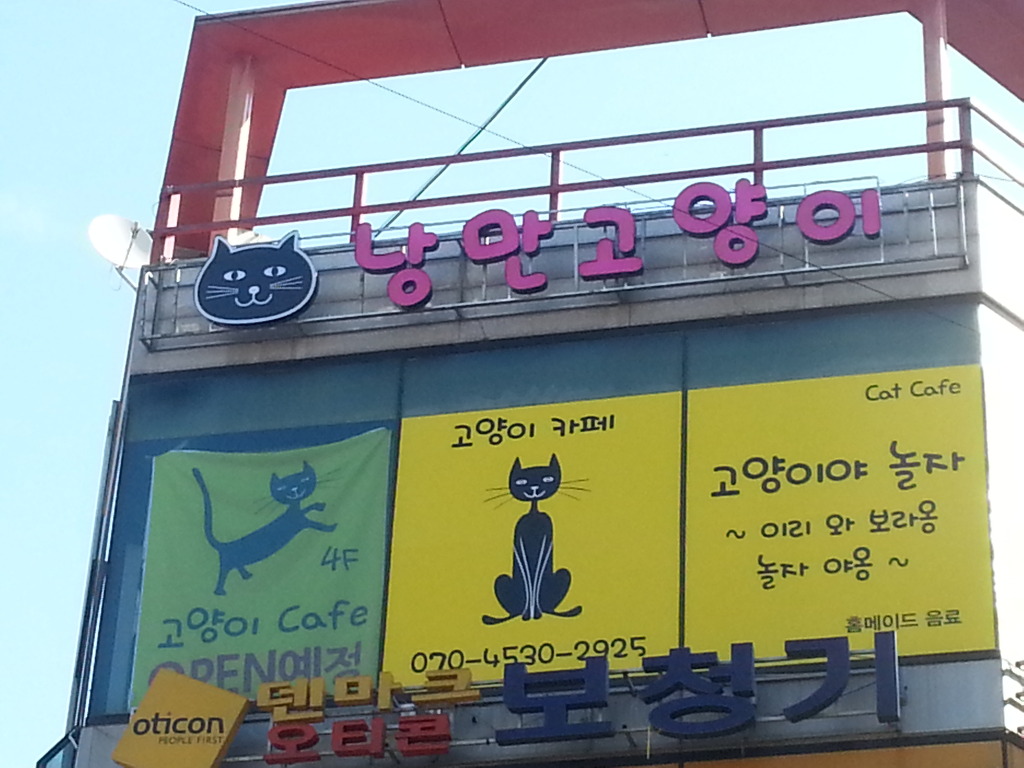 애드모아 이미지