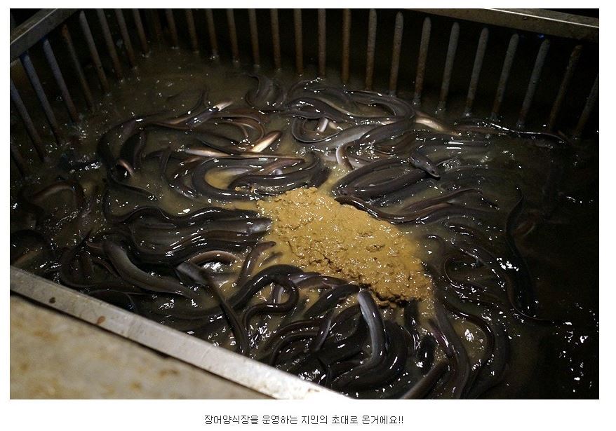 숯불구이 이미지