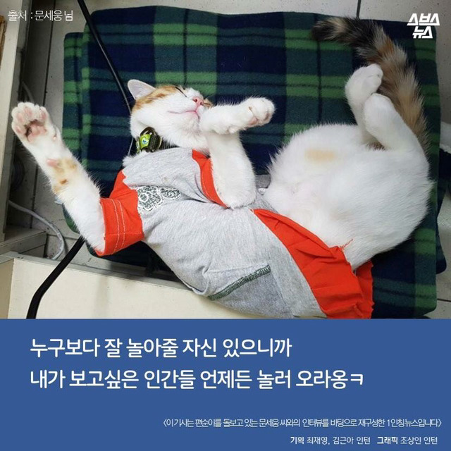 편순이 처음 보냥? | 인스티즈