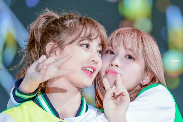 주말 상암 DMC & 부산 ASF 뛴 트와이스(50장 주의) | 인스티즈