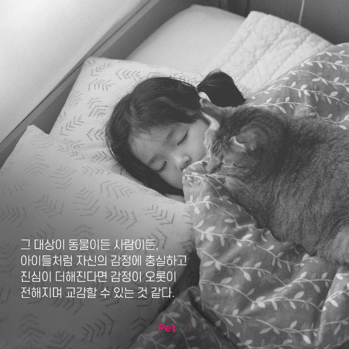 아기와 고양이의 교감 | 인스티즈