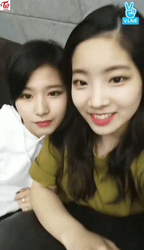 두부가 너무 좋은 사나.gif | 인스티즈