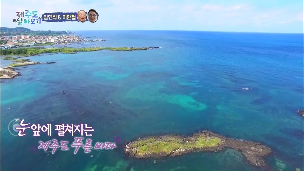 제주도 | 인스티즈