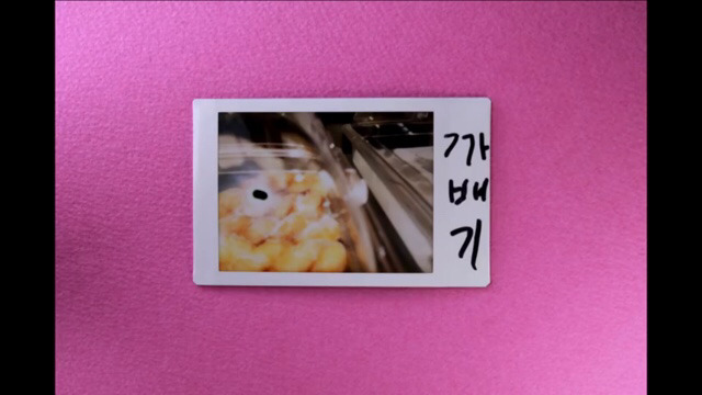 박막례 할머니에게 일주일동안 즉석 카메라를 맡겼을 때 | 인스티즈