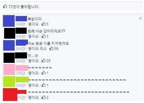 복순이다.jpg | 인스티즈