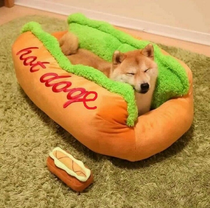 핫한핫도그 이미지