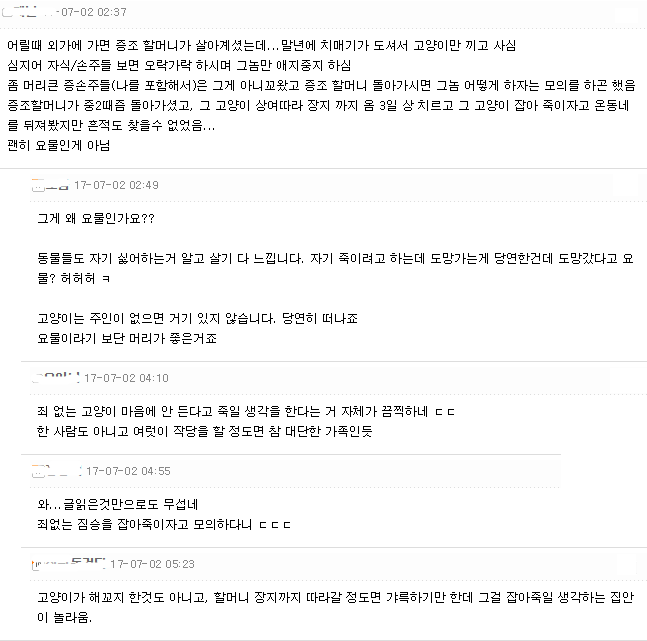 고양이 유머짤에 달린 무서운 댓글 | 인스티즈