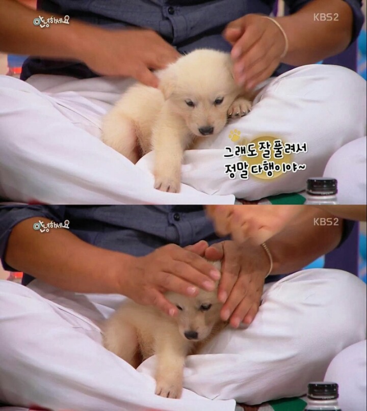 방송녹화 도중에 잠들어버리는 게스트.jpg (안녕하세요) | 인스티즈