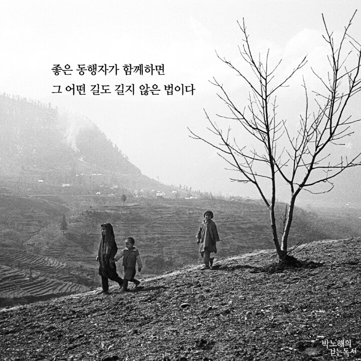 동행자 이미지