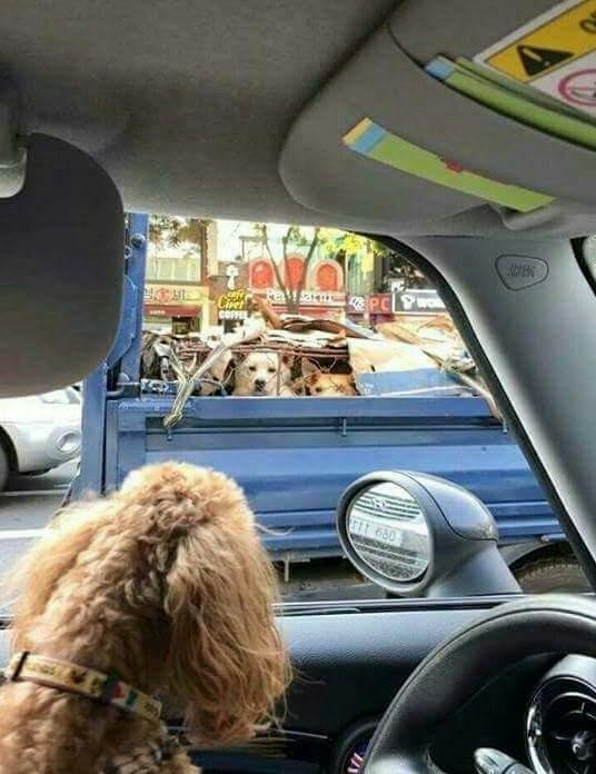 헐 이미지