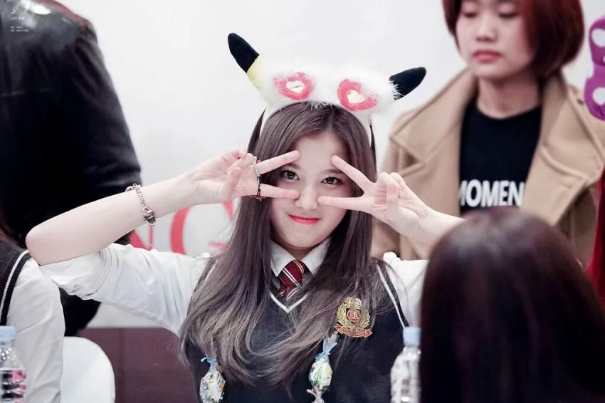 트와이스 사랑둥이 사나 .jpg | 인스티즈