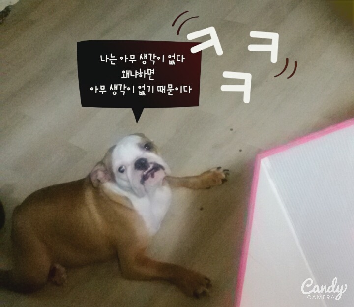 뽕자 이미지