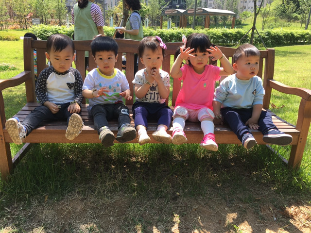 다모숲 이미지