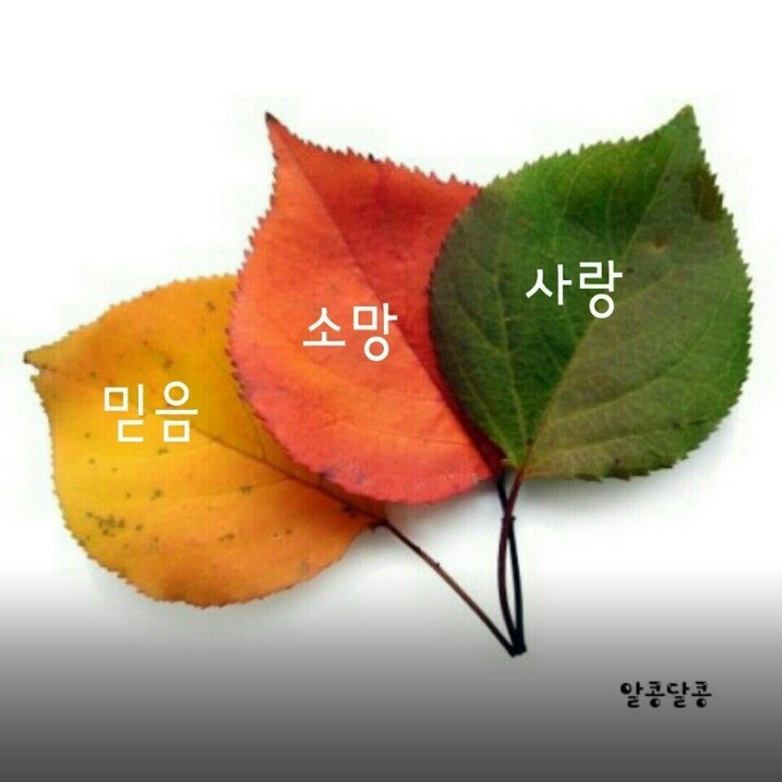 [이미지] 부모님께 보내드리면 사랑받는 이미지 모음 | 인스티즈
