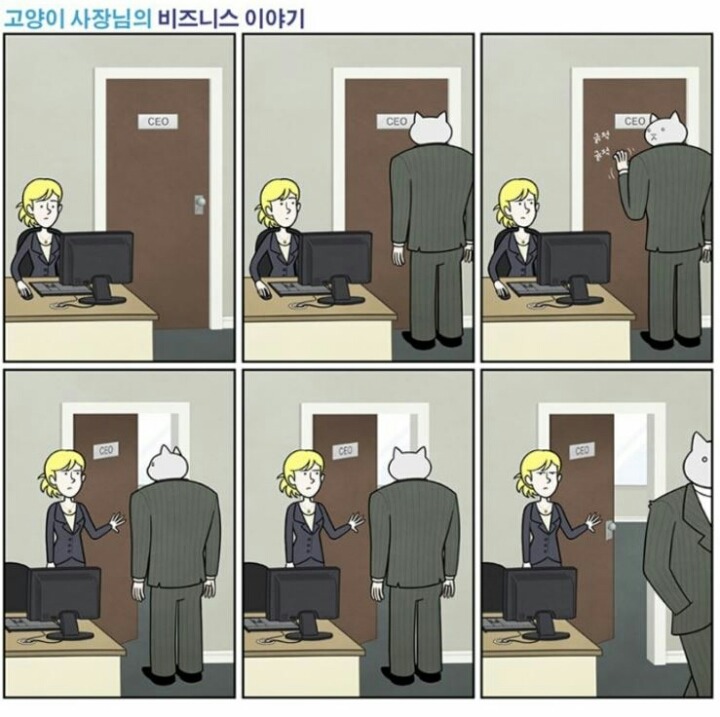 만약 고양이가 사장님이라면.jpg | 인스티즈