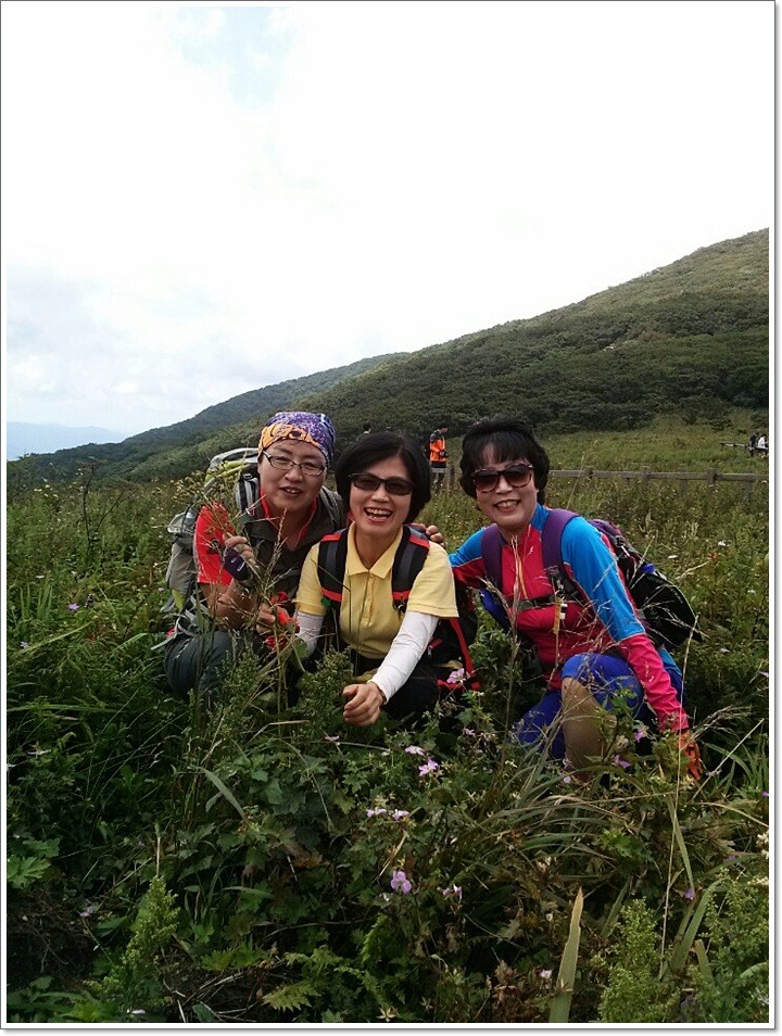 배령 이미지