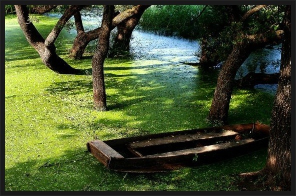 사기꾼 뺨치는 사대강 전후 사진 | 인스티즈