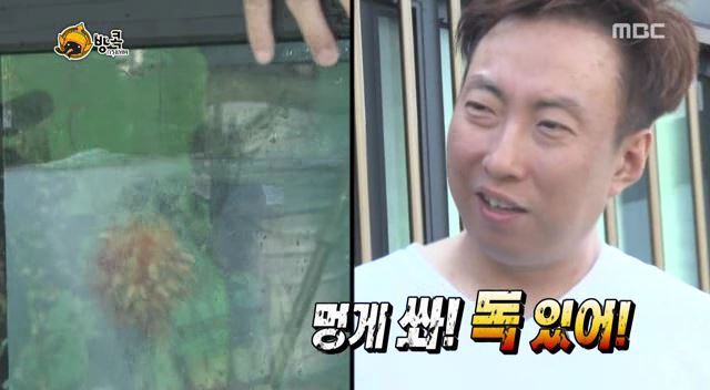 [무한도전] 나망이 배꼽잡고 웃었던 방콕특집 | 인스티즈