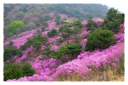 토브.소리 이미지
