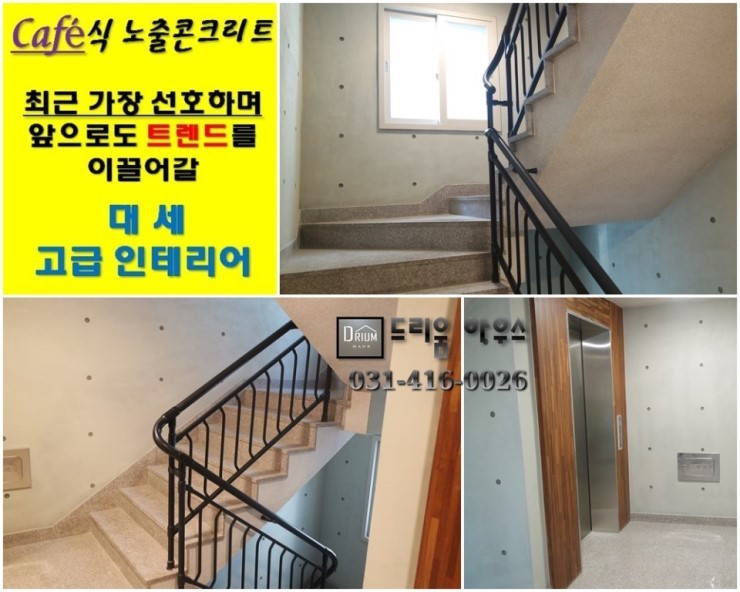 드리움 이미지