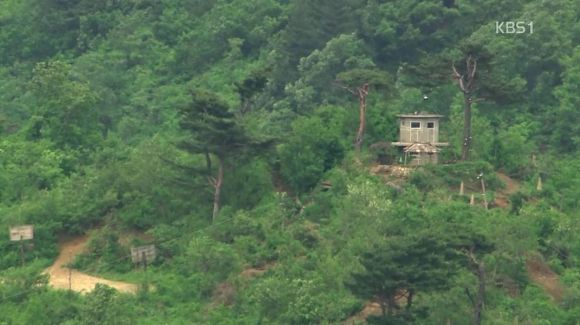 대한민국 진짜 사나이들 (스크롤주의) | 인스티즈