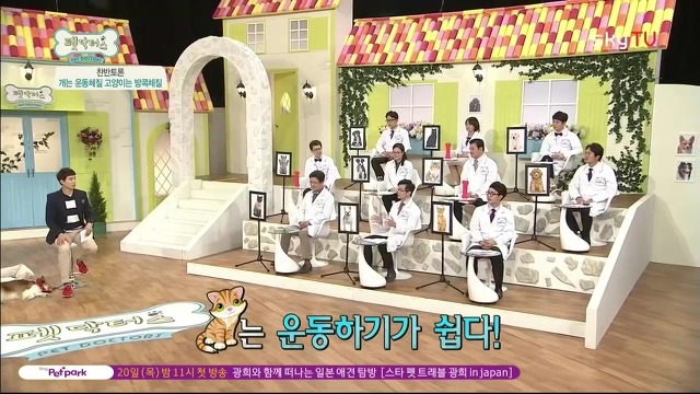 운동체질 강아지와 방콕체질 고양이?! | 인스티즈