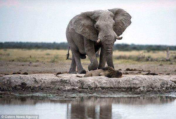 아저씨.. 여기서 잠들면 죽어요... | 인스티즈