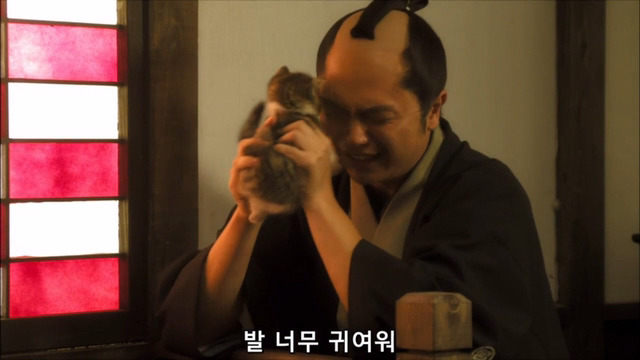 고양이 키우는 사람의 마음 | 인스티즈