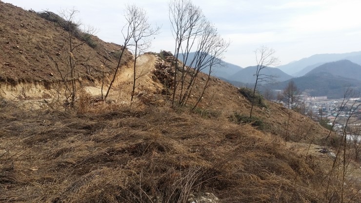 (주)산지 이미지