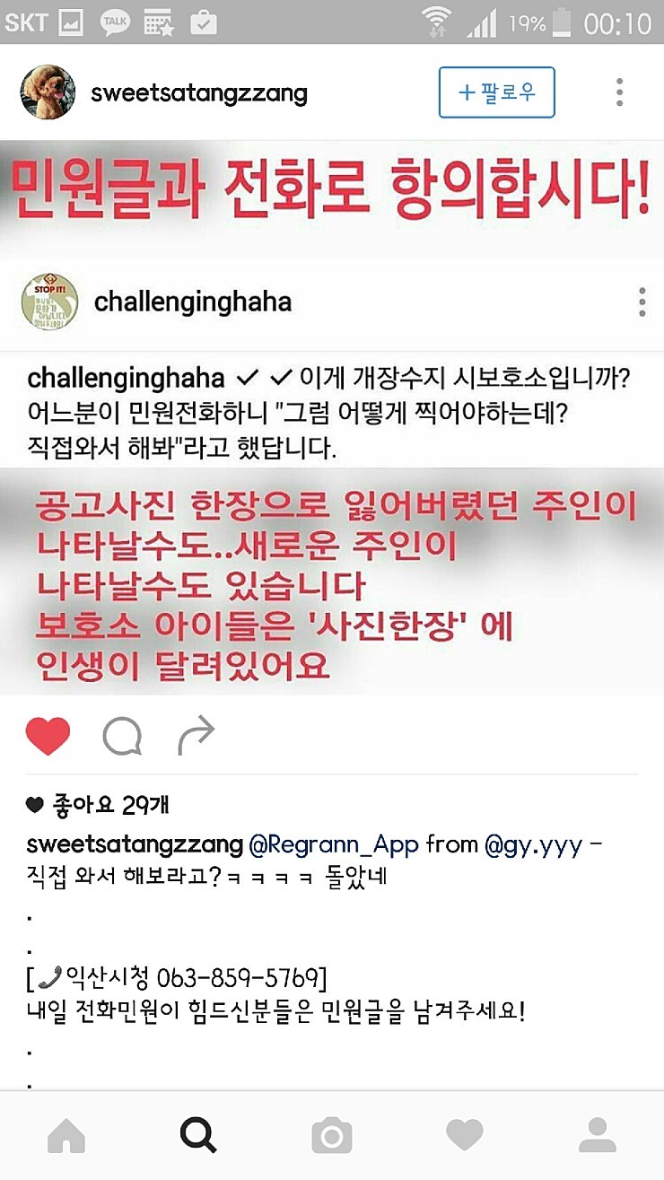 익산유기동물보호소의 공고사진 항의전화나 민원글쓰자(강아지 마음아픈사진있어)! | 인스티즈