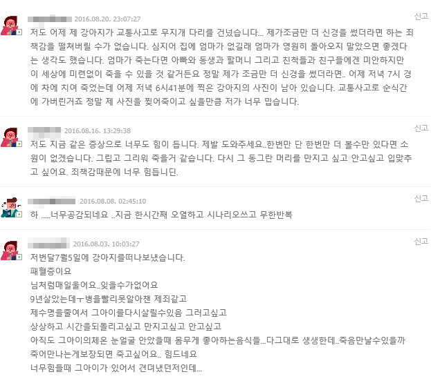 펫로스 증후군을 앓고 있는 사람들 | 인스티즈