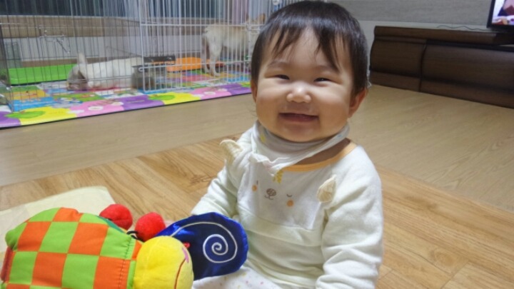 포포모모 이미지