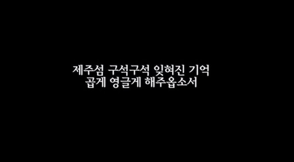  벚꽃이 흩날리며 아픔을 위로하는 제주의 4월 | 인스티즈