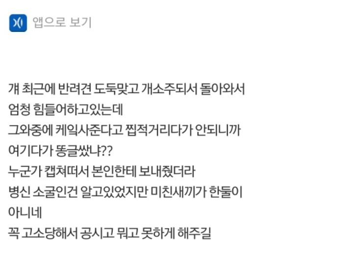 사랑하는 내 동생은 개소주가 되어서 돌아왔고 저는 개소주녀가 되었습니다 | 인스티즈