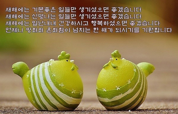 면장님 이미지
