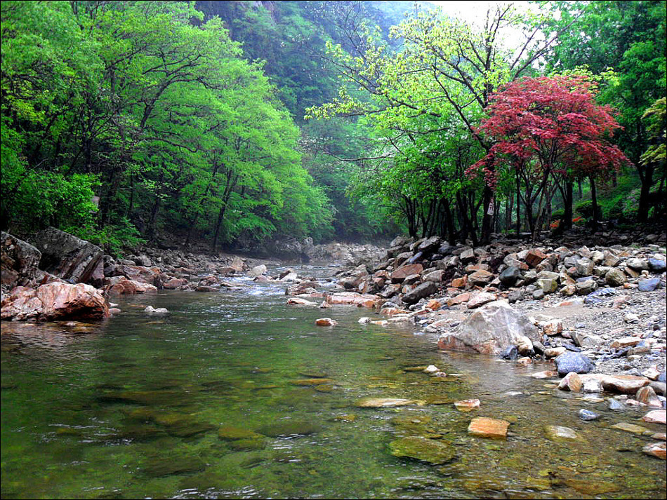 소리산캠핑 이미지
