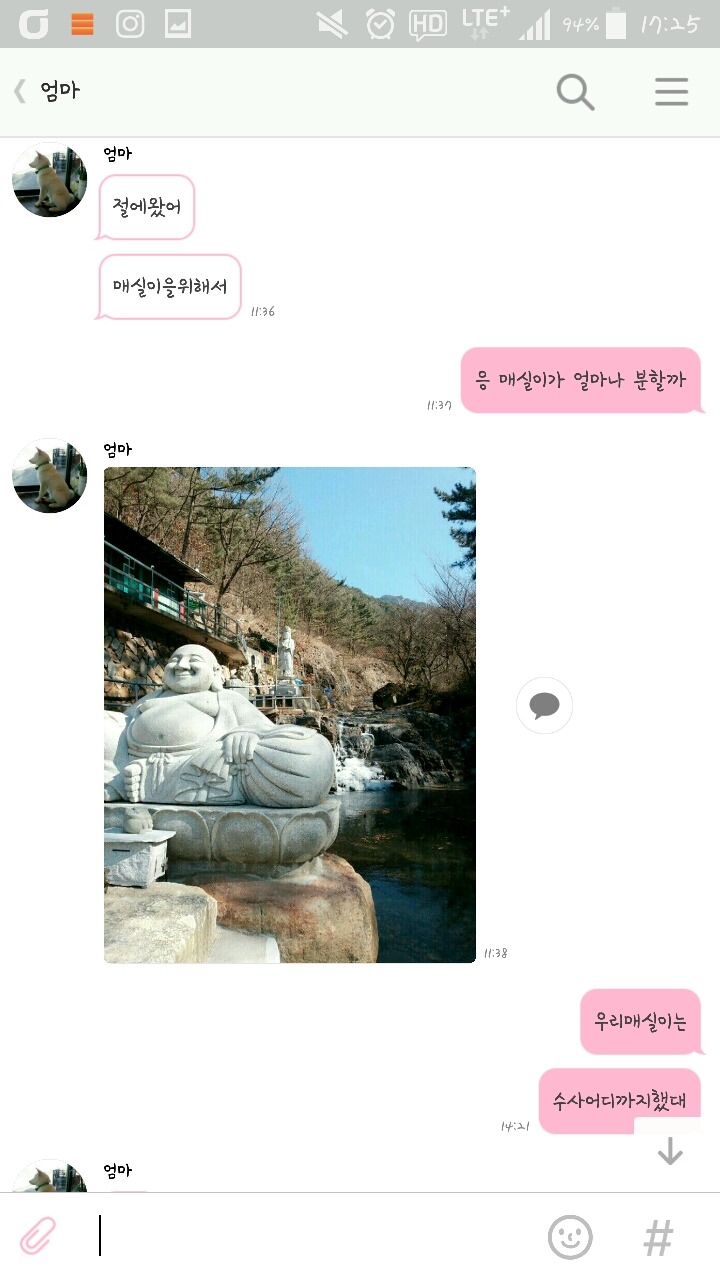 개소주로 만들어져버린 우리집 강아지 매실이를 도와주세요. 부탁드려요. 제발 퍼트려주세요 | 인스티즈