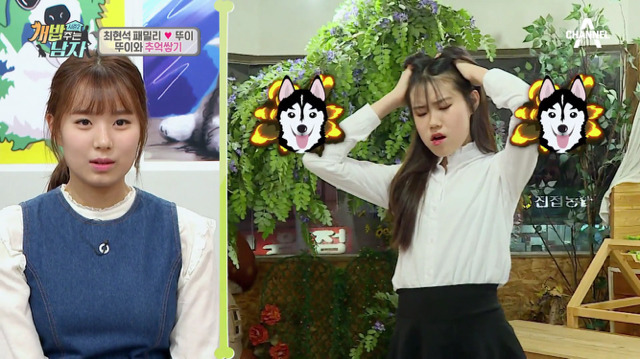 겁나 귀여운 최현석 셰프 강아지 뚜이(오드아이 시베리안 허스키).jpg | 인스티즈