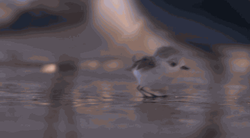 픽사 신작. gif | 인스티즈