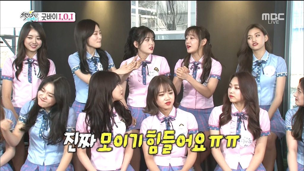 5년뒤에 꼭 재결합이 하고싶은 아이오아이 멤버들 | 인스티즈