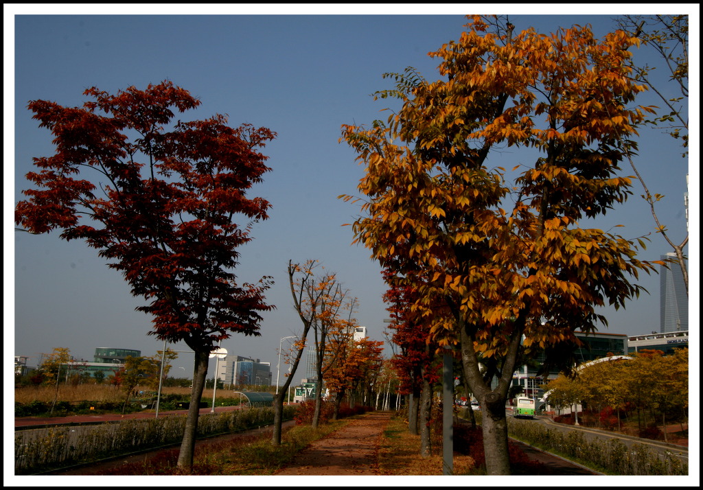 도로공원 이미지