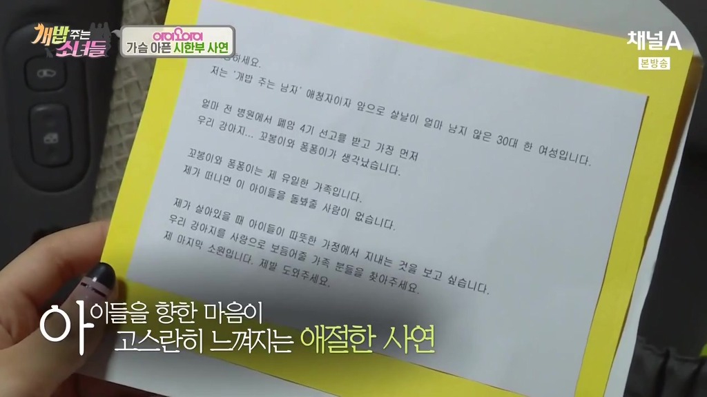 반려견 떠나보내는 암 말기 환자 ㅠㅠㅠ | 인스티즈