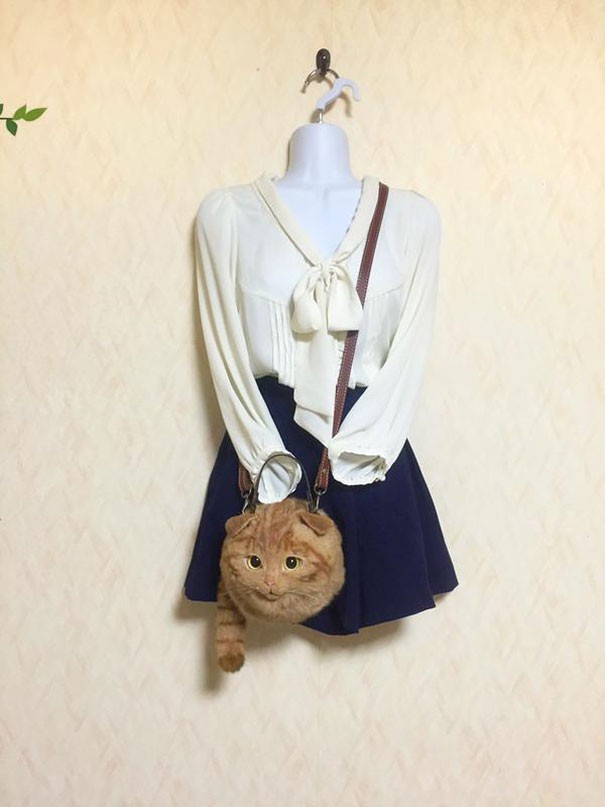 고양이 가방 | 인스티즈