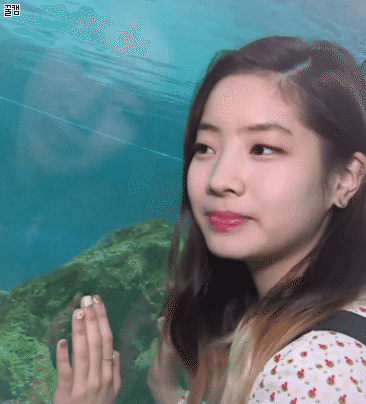 트와이스 랜덤 짤털이.gif | 인스티즈