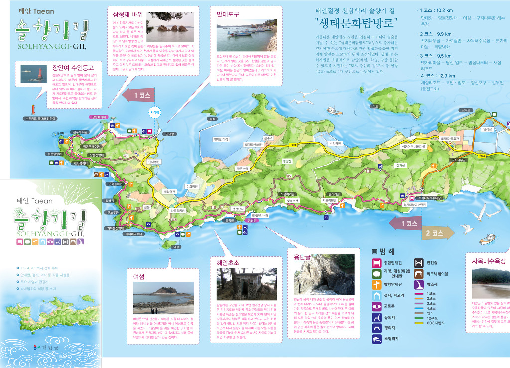 솔향기 이미지
