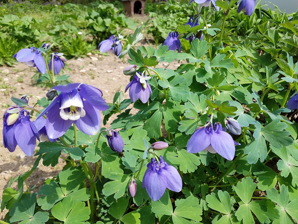 황산골 이미지