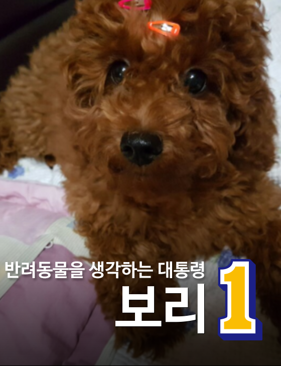 기호1번 포스터 만들어보기 | 인스티즈