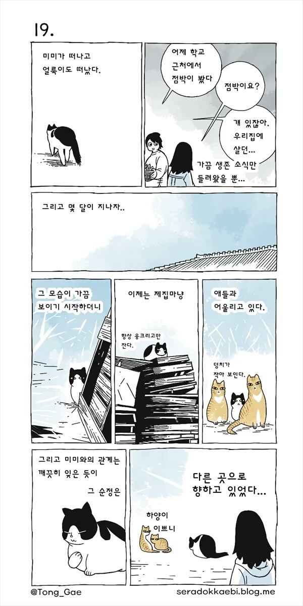고양이 여덟마리와 사는만화 | 인스티즈