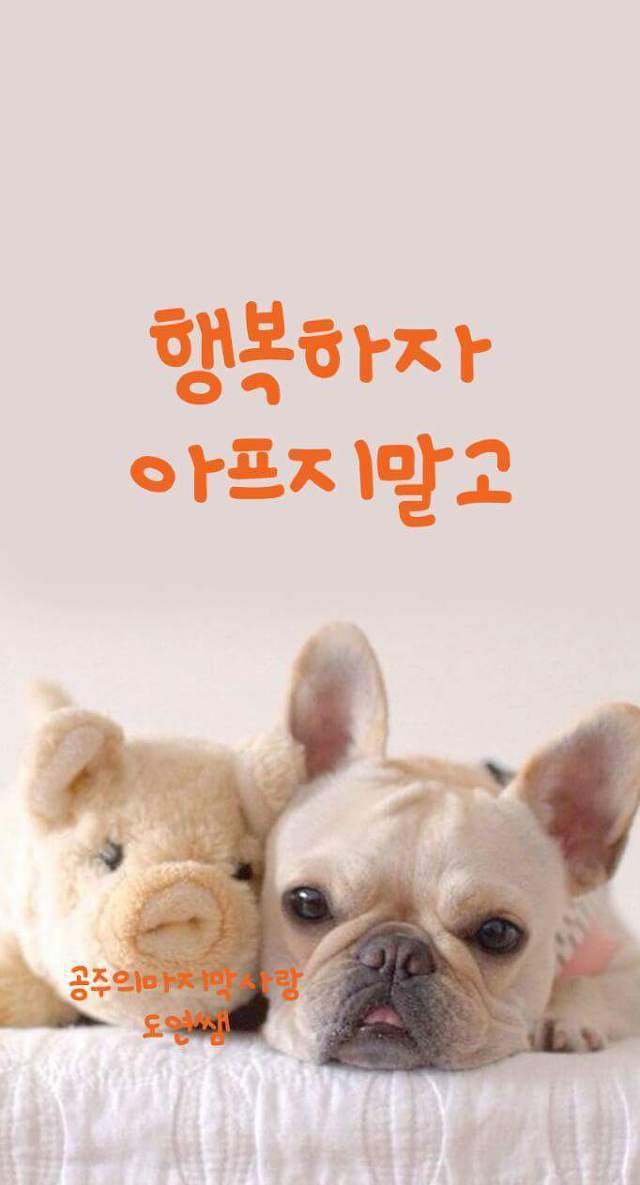 복 이미지